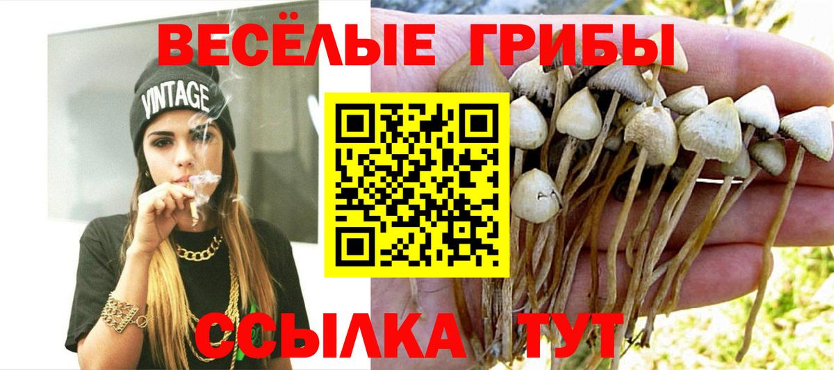 Псилоцибиновые грибы мухоморы  хочу наркоту  Набережные Челны  Галлюциногенные грибы GOLDEN TEACHER  Вход с VPN 